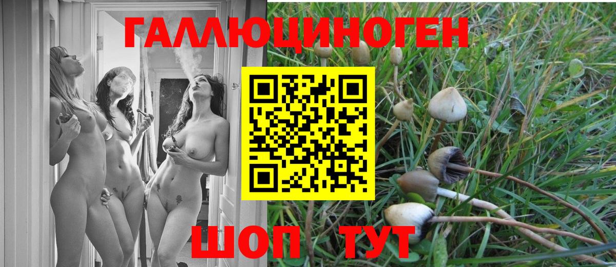 Псилоцибиновые грибы Cubensis  Вход с VPN  Березники 