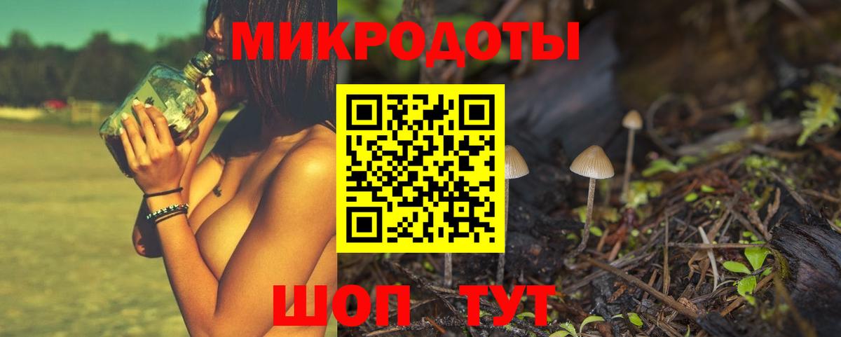 Псилоцибиновые грибы Psilocybine cubensis Березники